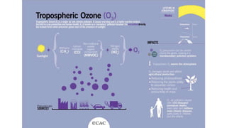 Susan Anenberg, PhD
WRI Greening Governance Seminar
October 30, 2019
 