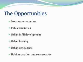 The Opportunities
  Stormwater retention

  Public amenities

  Urban infill development

  Urban forestry

  Urban agriculture

  Habitat creation and conservation
 