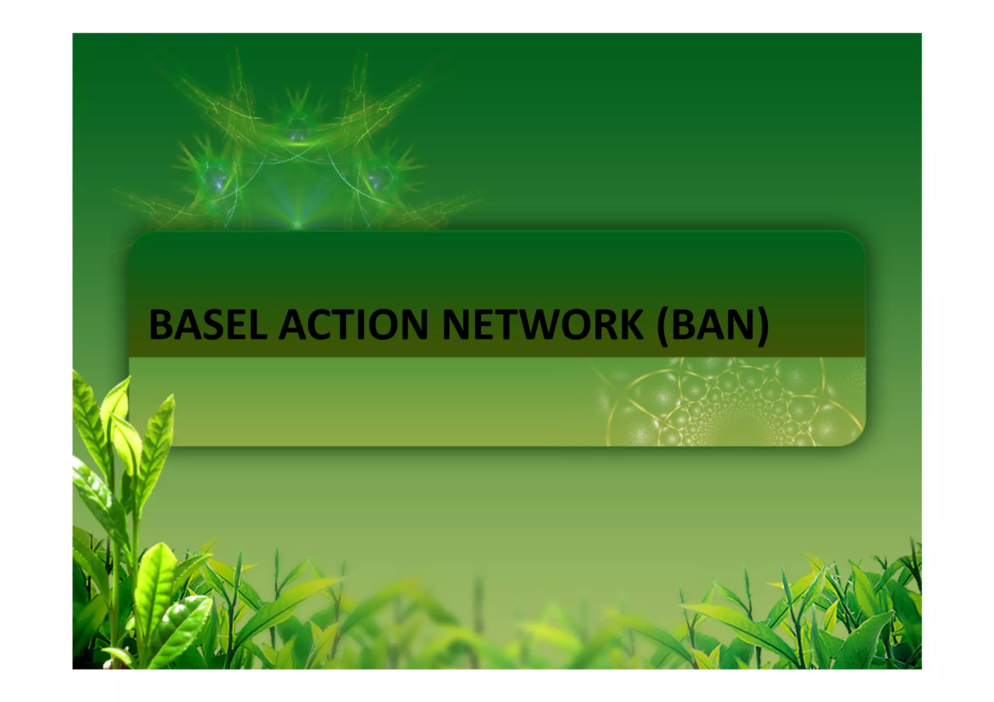 BASEL ACTION NETWORK (BAN)
 