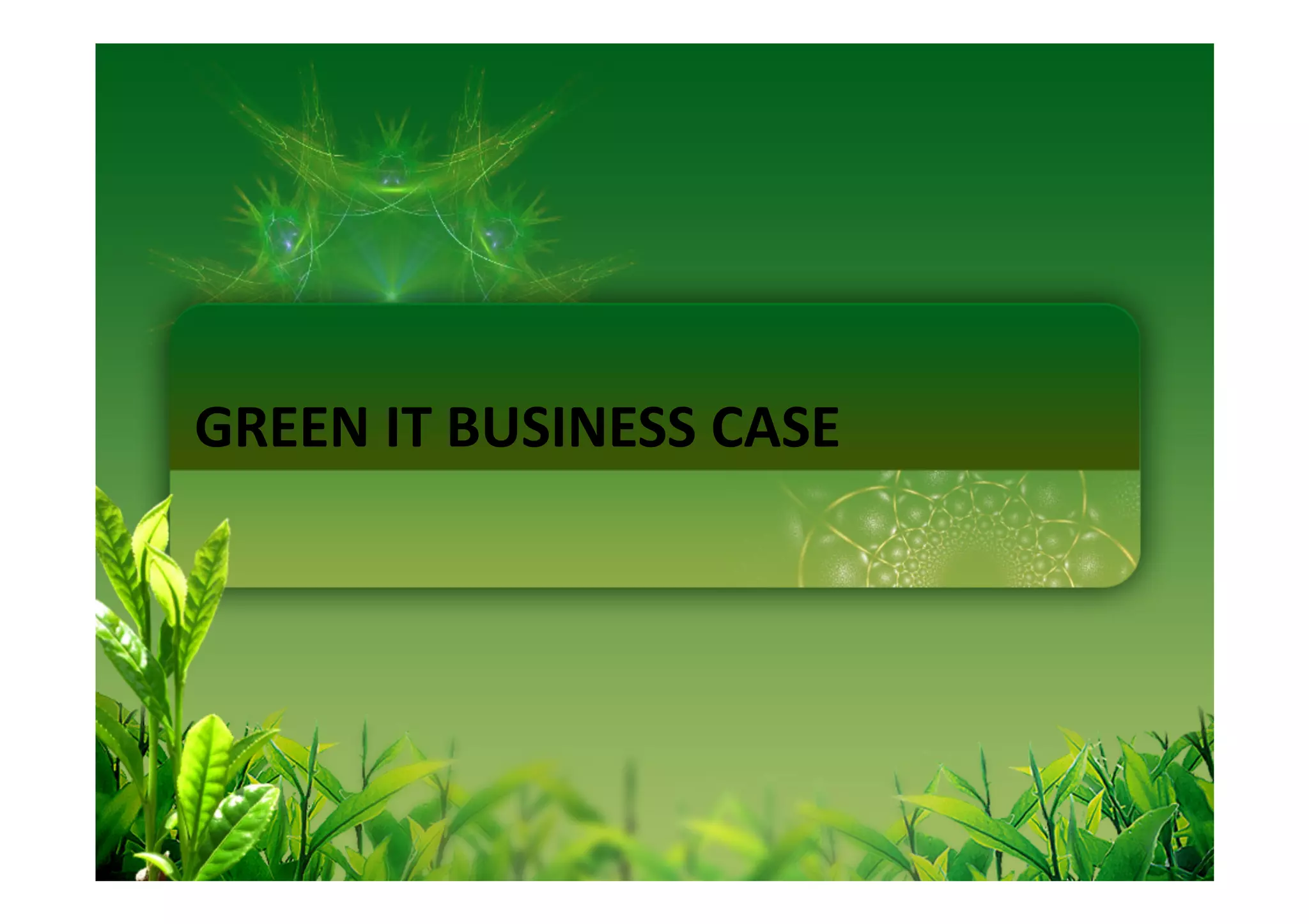 GREEN IT BUSINESS CASE
 