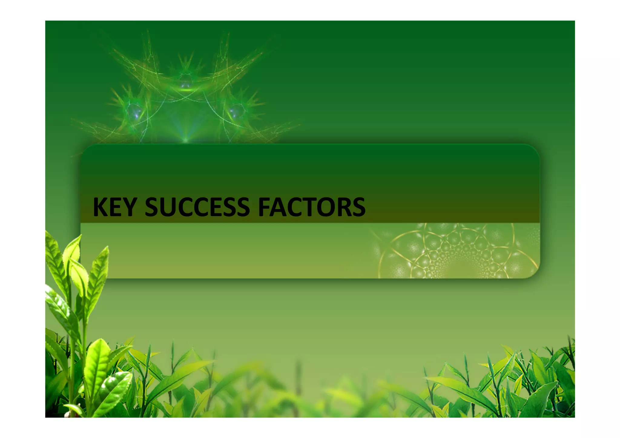 KEY SUCCESS FACTORS
 
