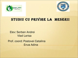STUDIU CU PRIVIRE LA MESERII
Elev: Serban Andrei
Vlad Larisa
Prof. coord: Postovei Catalina
Enus Adina
 