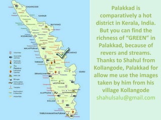 Palakkad is comparatively a hot district in Kerala, India. But you can find the richness of “GREEN” in Palakkad,because of...