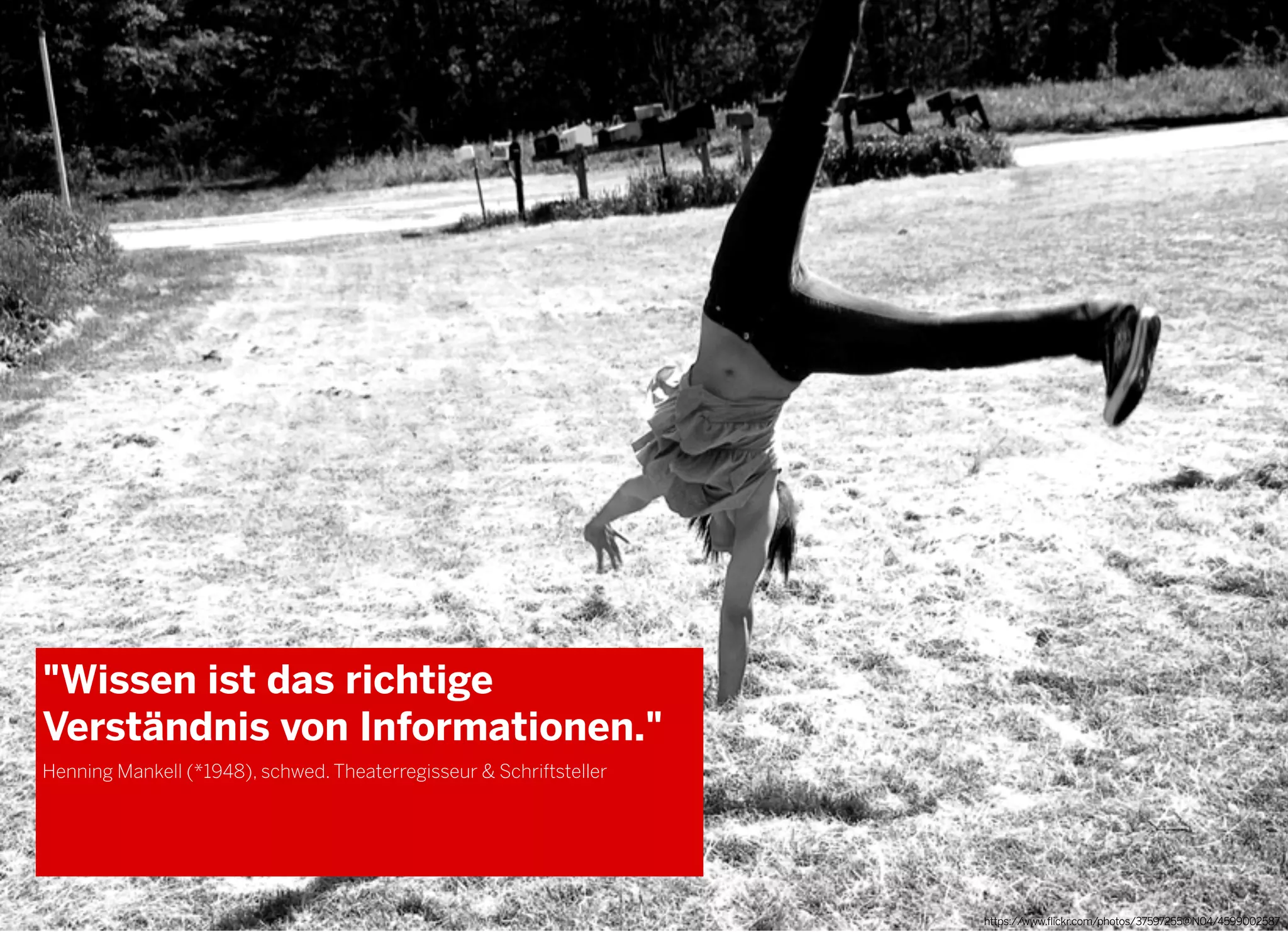 2013 © GREENKERN - keine ungenehmigte Veröffentlichung gestattet - alle Rechte vorbehalten https://www.flickr.com/photos/37597255@N04/4599002587
"Wissen ist das richtige
Verständnis von Informationen."
Henning Mankell (*1948), schwed. Theaterregisseur & Schriftsteller
 