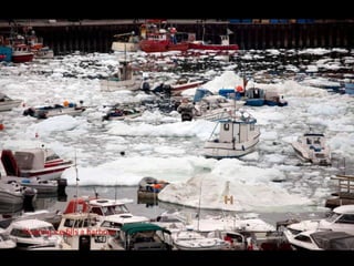 Floating ice fills a harbour
 