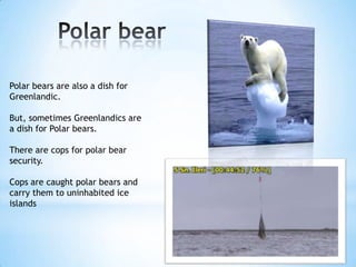Polar bears are also a dish for
Greenlandic.
But, sometimes Greenlandics are
a dish for Polar bears.
There are cops for polar bear
security.
Cops are caught polar bears and
carry them to uninhabited ice
islands
 