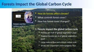green legacy and climate change presentation.pptx