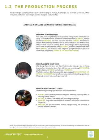 Layman Report Example GreenLIFE Layman's Report EN | PDF
