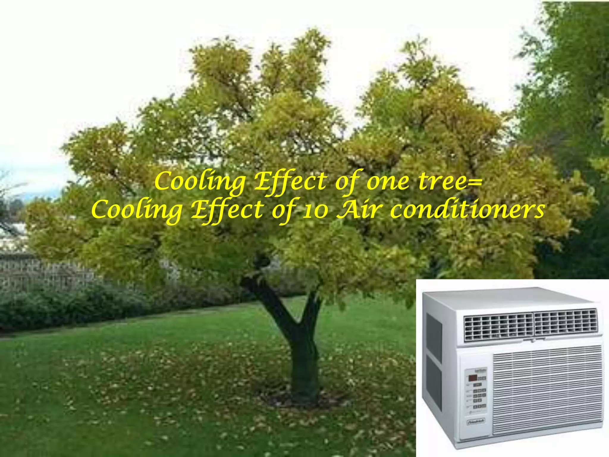 Cooling Effect of one tree=Cooling Effect of 10 Air conditioners
