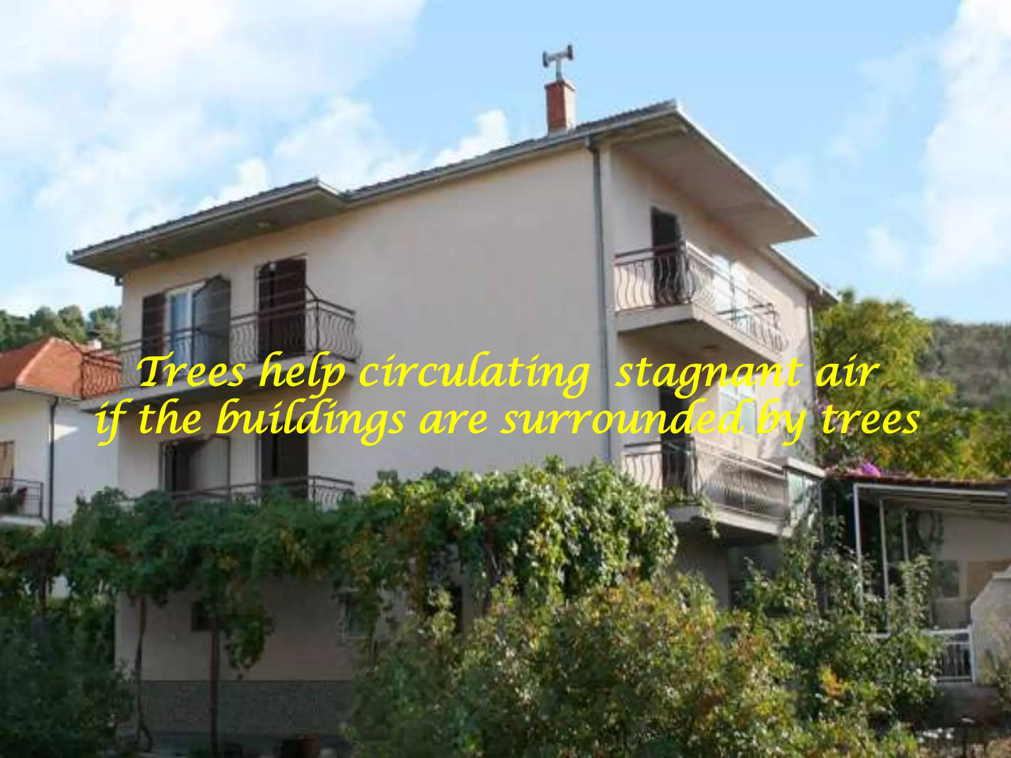 Trees help circulating stagnant air if the buildings are surrounded by trees