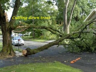 Cutting down trees