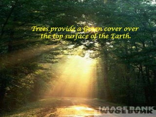 Trees provide a Green cover over  the top surface of the Earth.