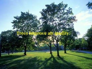 Trees improve air quality. 