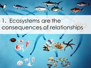 1.  Ecosystems are the consequences of relationships 