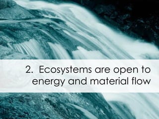 2.  Ecosystems are open to energy and material flow 