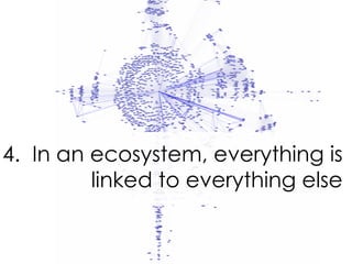 4.  In an ecosystem, everything is linked to everything else 