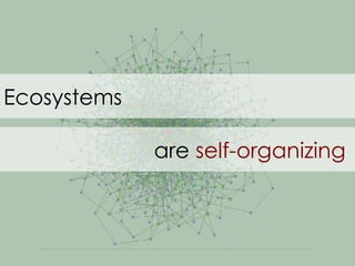 Ecosystems are  self-organizing 