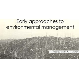 Early approaches to environmental management Clear cut forest in Algonquin Park 
