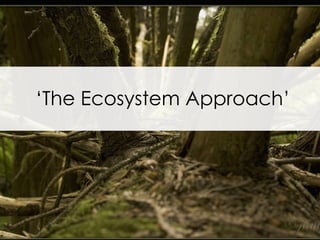 ‘ The Ecosystem Approach’ 