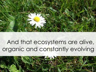 And that ecosystems are alive, organic and constantly evolving 