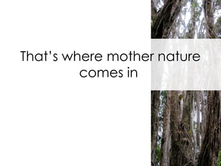 That’s where mother nature comes in  