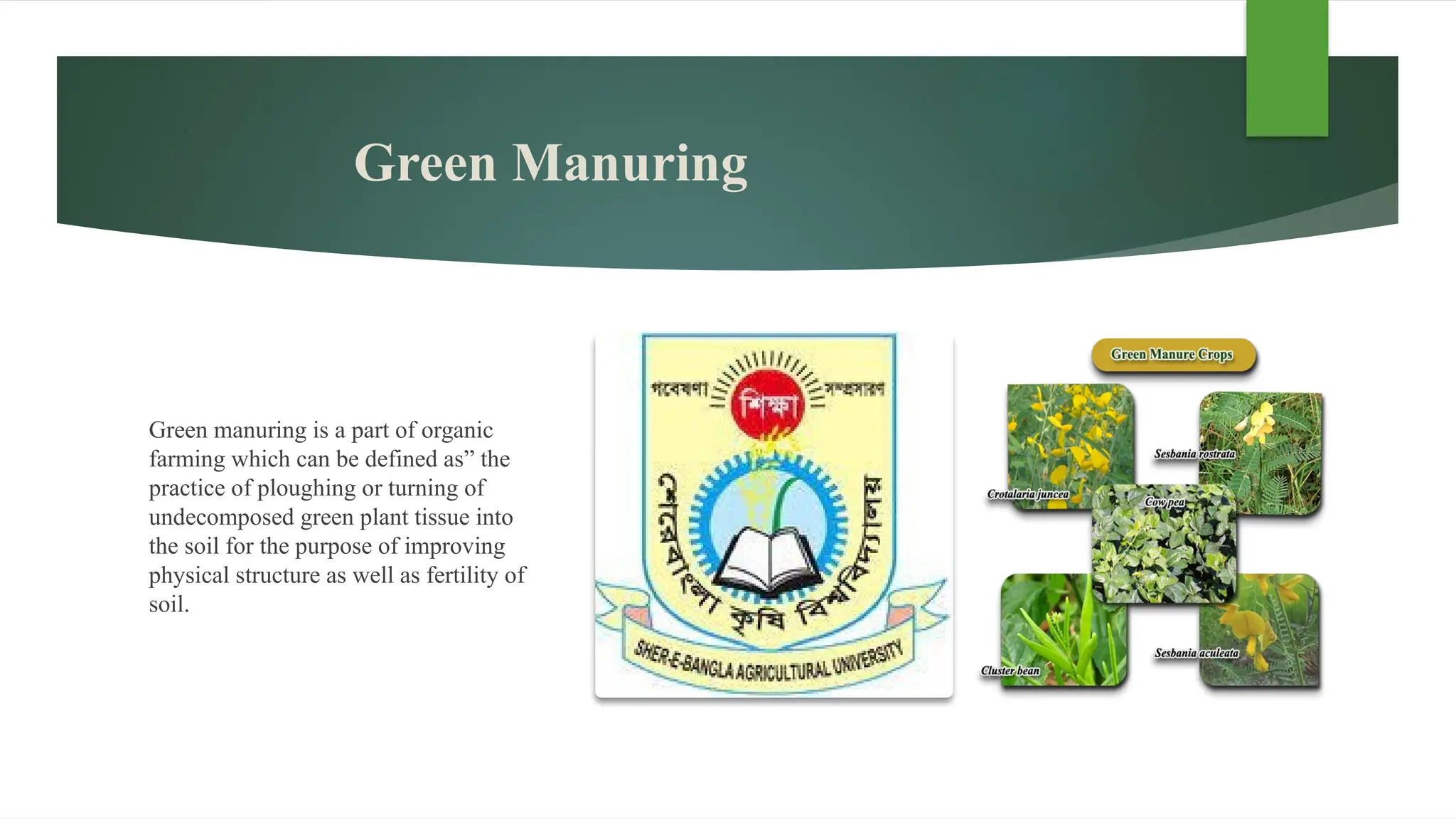 Green Manuring For Horticulture Production.pptx