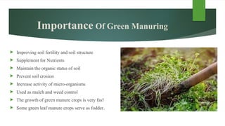 Green Menuring Green Manuring For Horticulture Production.pptx