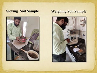 green manuring ppt.pptx