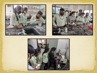 green manuring ppt.pptx