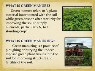 green manuring ppt.pptx
