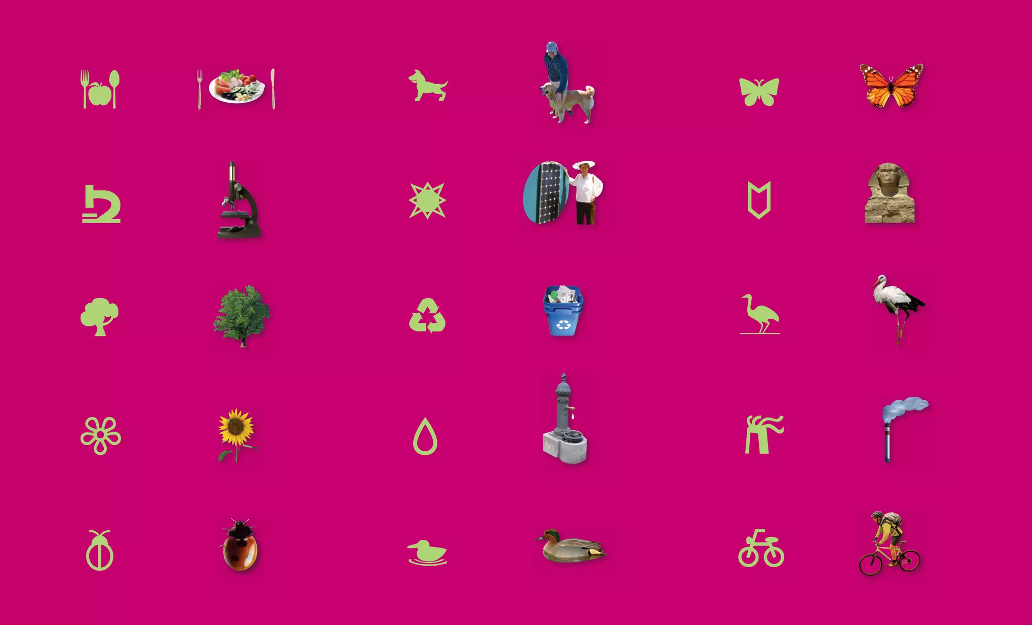 Green Map System Brochure