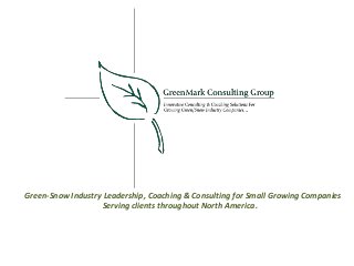 Green-Snow Industry Leadership, Coaching & Consulting for Small Growing Companies
Serving clients throughout North America.

 