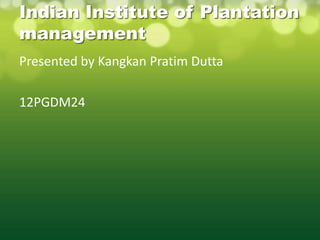 Indian Institute of Plantation
management
Presented by Kangkan Pratim Dutta

12PGDM24
 