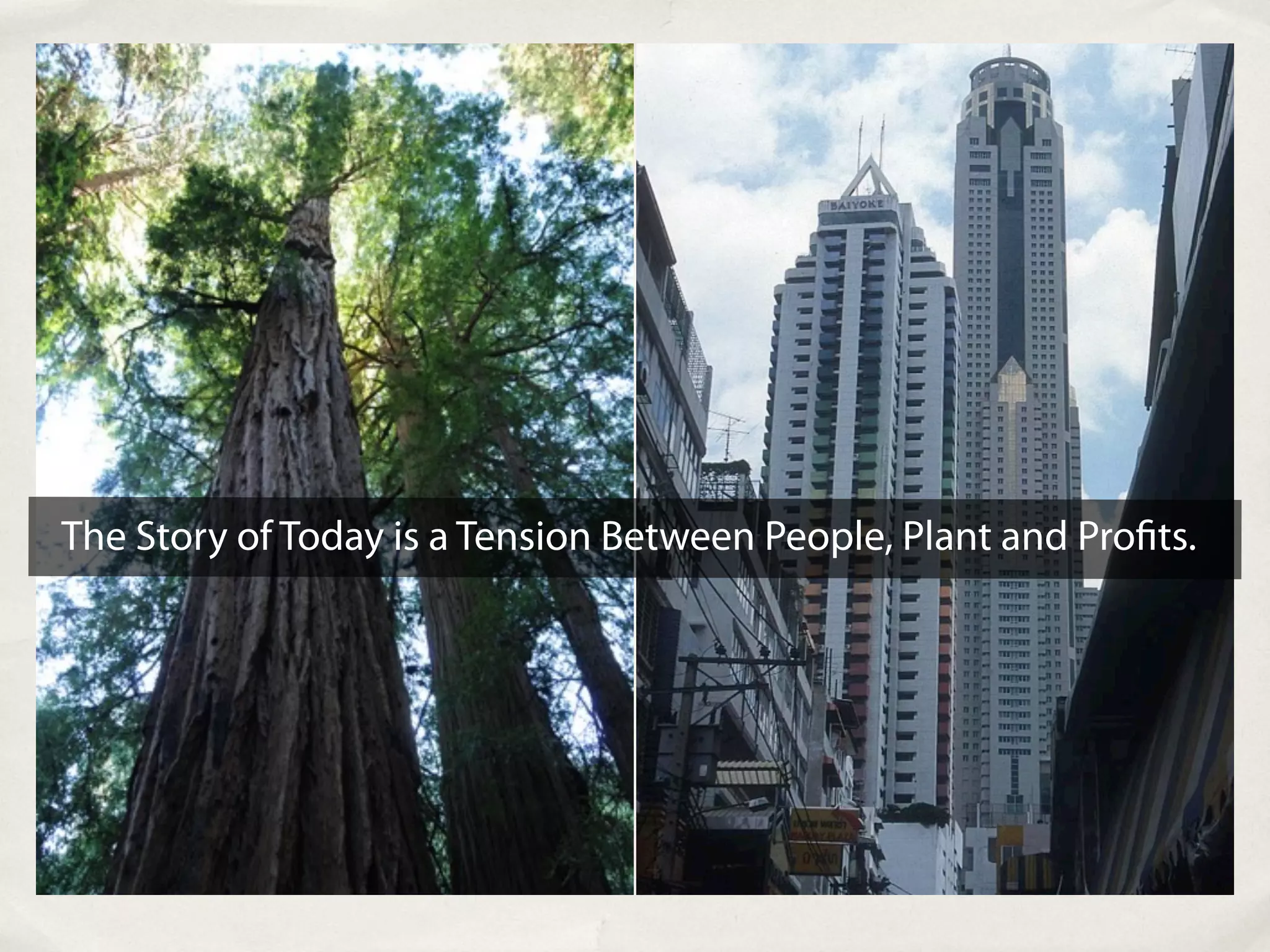 The Story of Today is a Tension Between People, Plant and Pro ts.
 