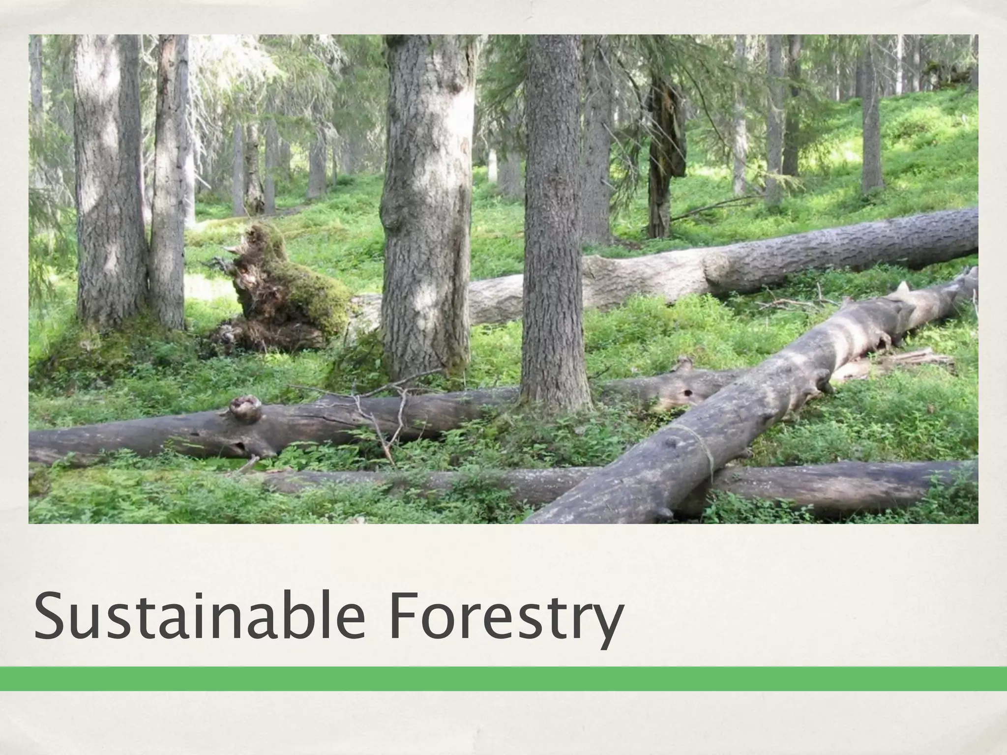 Sustainable Forestry
 