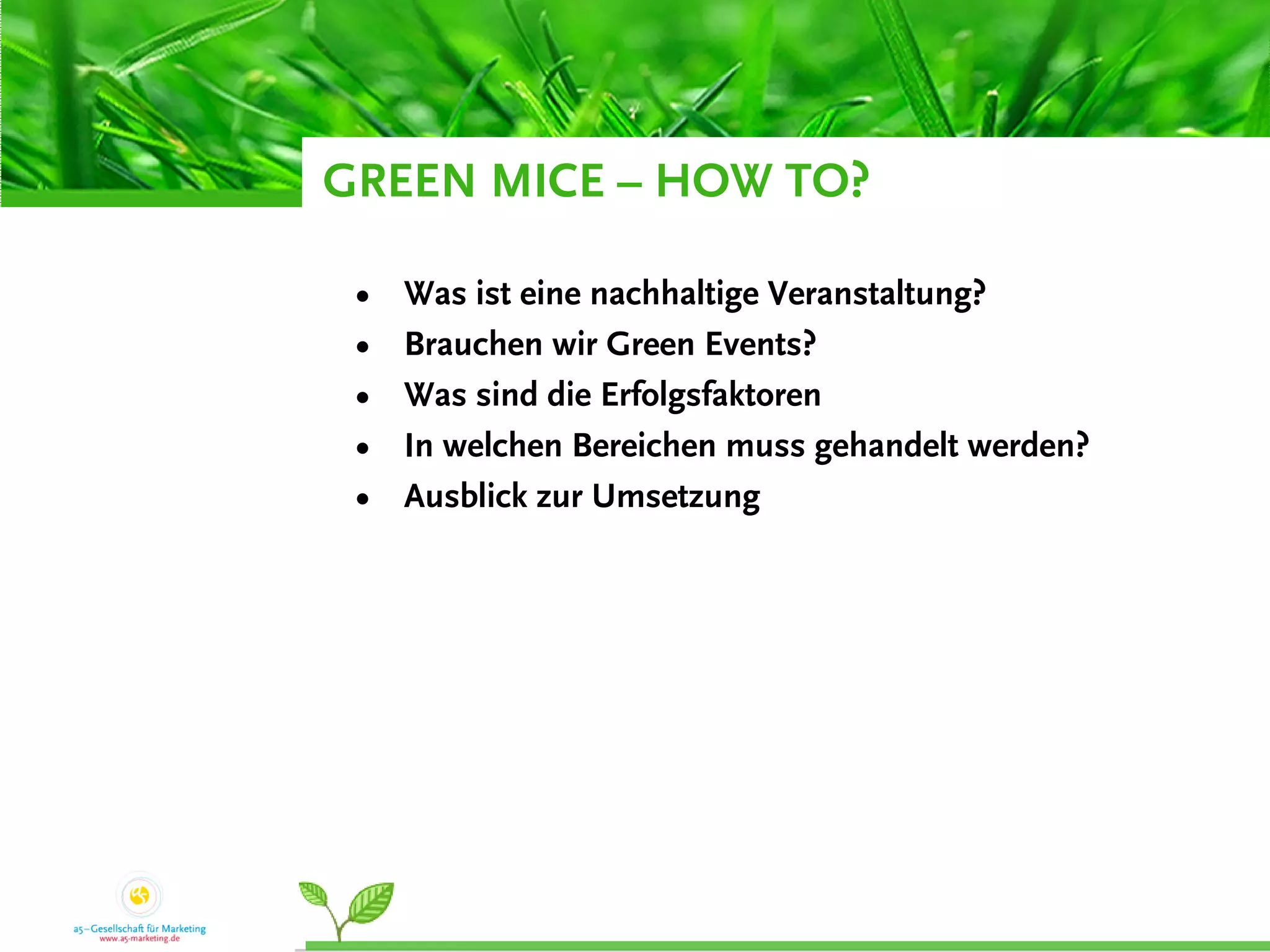 Green Meetings - How?