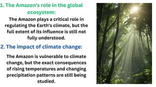 The wonders of amazon rainforest presentation | PDF