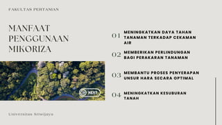 Green Modern Sustainable Development Goals Progress Report Presentation.pdf
