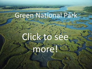 Green National Park

  Click to see
     more!
 
