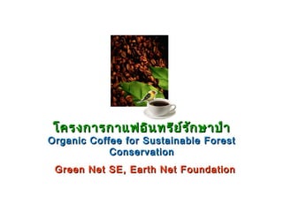 โครงการกาแฟอิน ทรีย ์ร ัก ษาป่า

Organic Coffee for Sustainable Forest
Conservation
Green Net SE, Earth Net Foundation

 