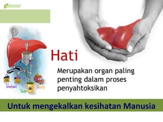 Hati
           Merupakan organ paling
           penting dalam proses
           penyahtoksikan

Untuk mengekalkan kesihatan Manusia
 
