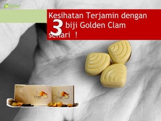 Kesihatan Terjamin dengan
     biji Golden Clam
sehari 
 