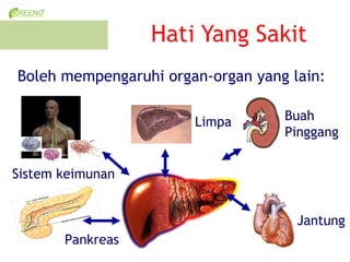 Boleh mempengaruhi organ-organ yang lain:

                       Limpa       Buah
                                   Pinggang


Sistem keimunan


                                     Jantung
       Pankreas
 