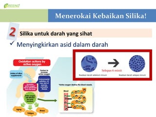 Menerokai Kebaikan Silika!

   Silika untuk darah yang sihat
? Menyingkirkan asid dalam darah


                                                Selepas 6 minit
                          Keadaan darah sebelum minum       Keadaan darah selepas minum
 