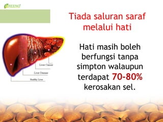 Tiada saluran saraf
   melalui hati

  Hati masih boleh
   berfungsi tanpa
 simpton walaupun
 terdapat 70-80%
    kerosakan sel.
 