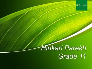Hinkari Parekh
Grade 11
 
