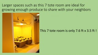 Larger spaces such as this 7 tote room are ideal for
growing enough produce to share with your neighbors
This 7 tote room is only 7.6 ft x 3.5 ft !
 