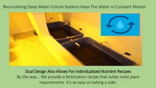 Recirculating Deep Water Culture Systems Keep The Water In Constant Motion
Dual Design Also Allows For Individualized Nutrient Recipes
By the way… We provide a fertilization recipe that suites most plant
requirements. It’s as easy as baking a cake.
 
