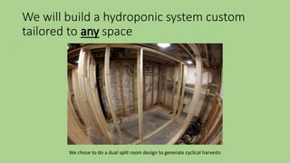 We will build a hydroponic system custom
tailored to any space
We chose to do a dual split room design to generate cyclical harvests
 
