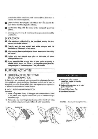 Green or variegated prac